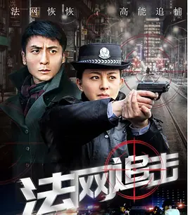 法网追击