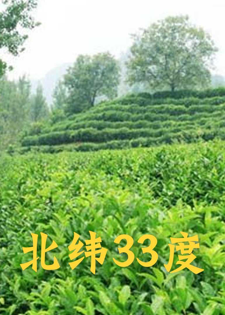 北纬33度