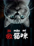 救猫咪