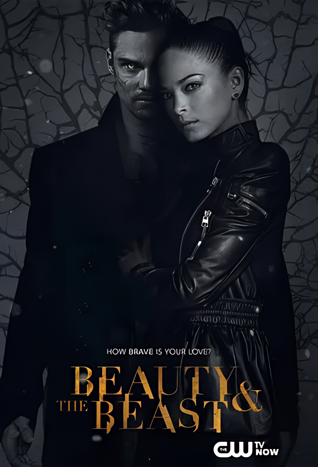 侠胆雄狮 第三季