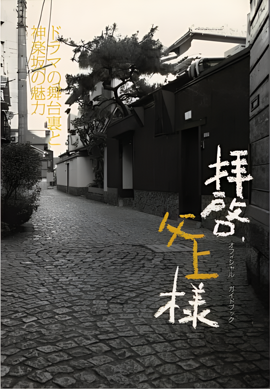 敬启，父亲大人