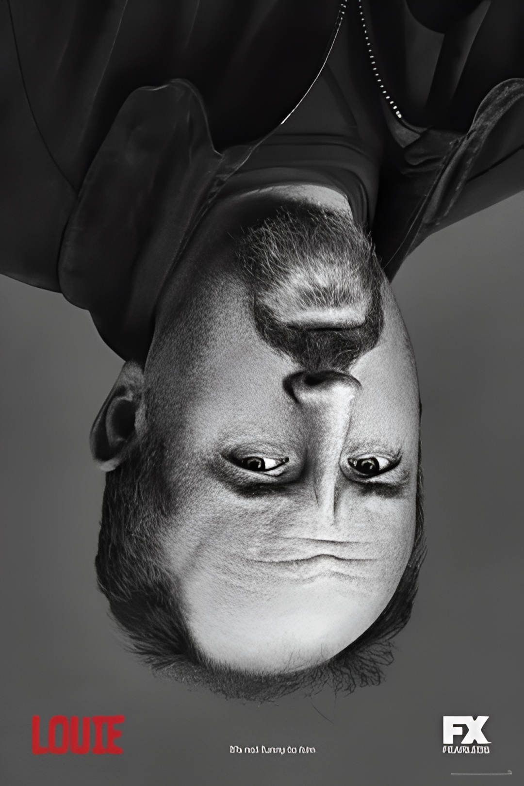 路易不容易 第五季