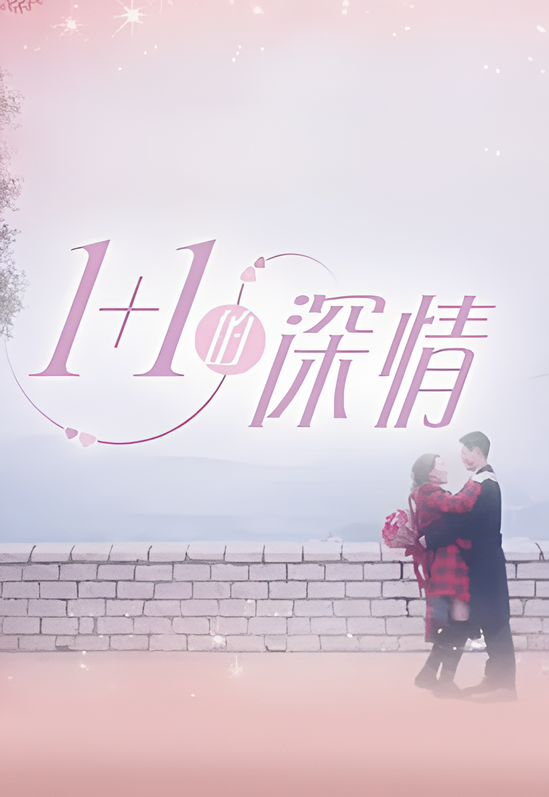 1+1的深情