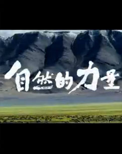 自然的力量精编版