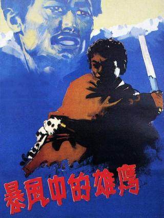 暴风雨中的雄鹰