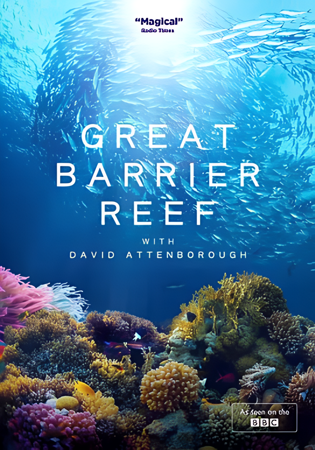 老爵爷的大堡礁之旅