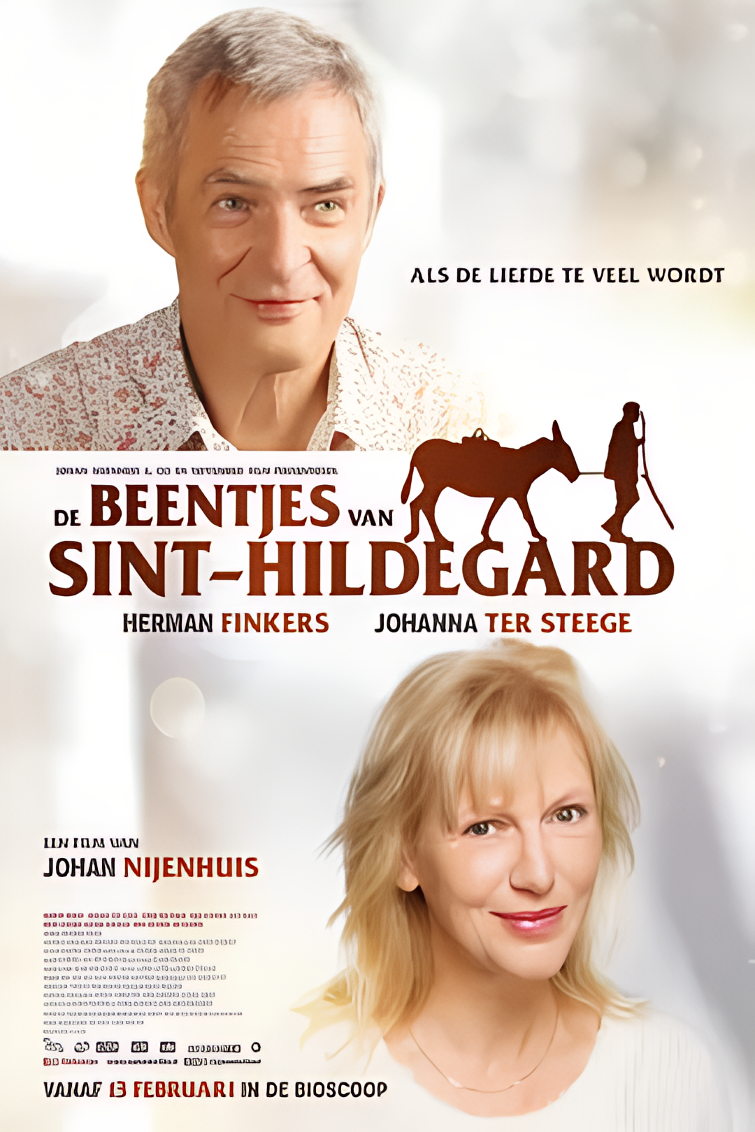 圣希尔德加德的腿