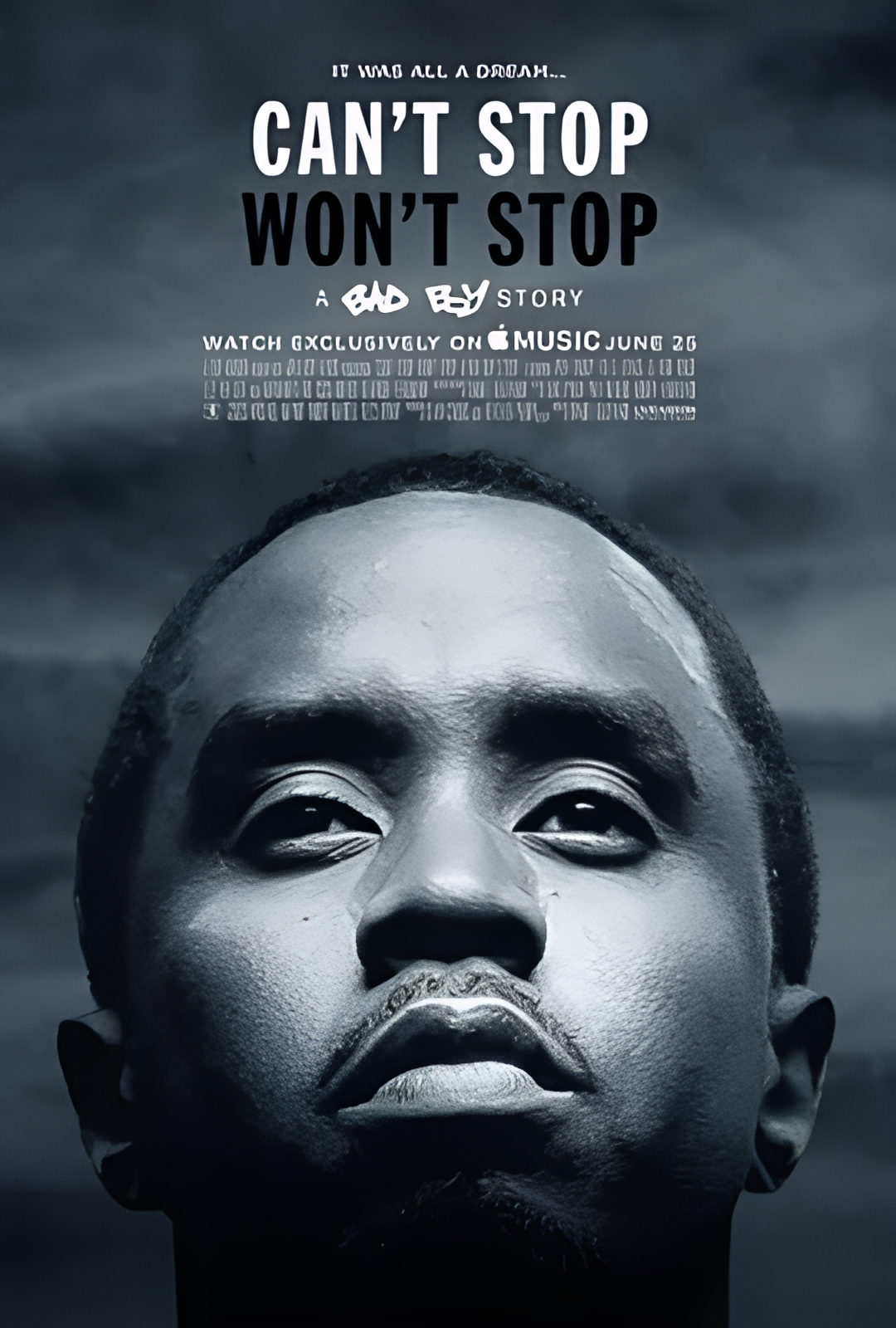 不能，也不想止步：一个坏男孩的故事