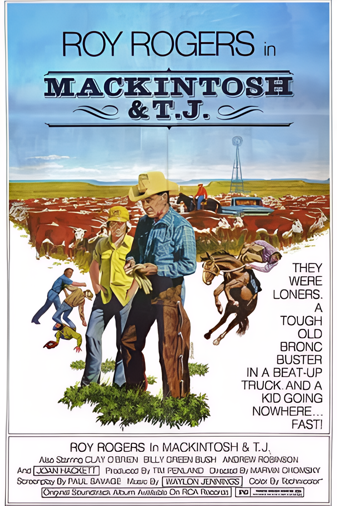 流浪汉与小灵精