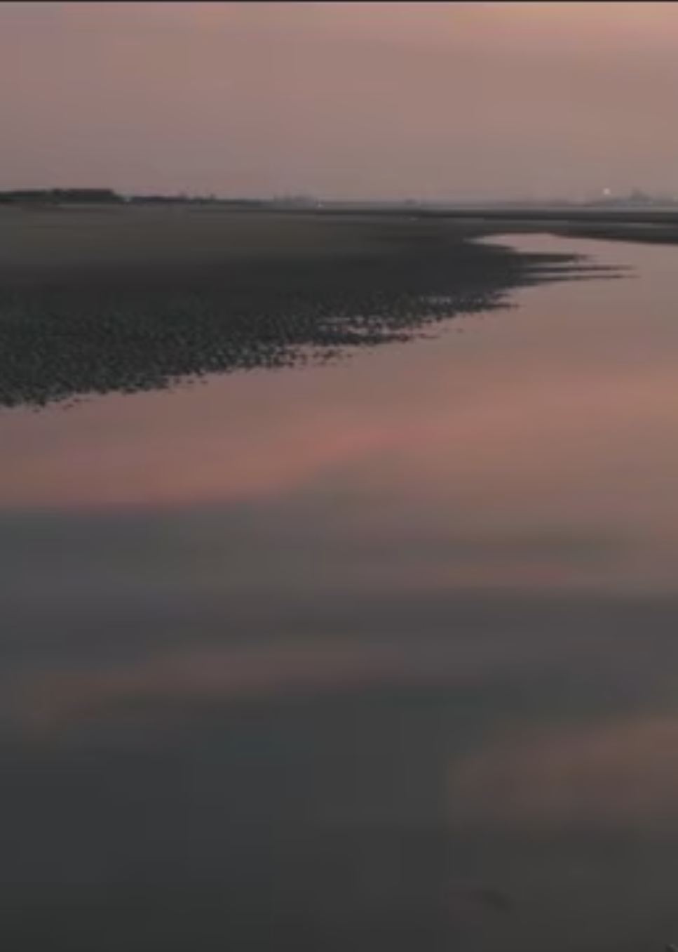 两个爸爸的故事